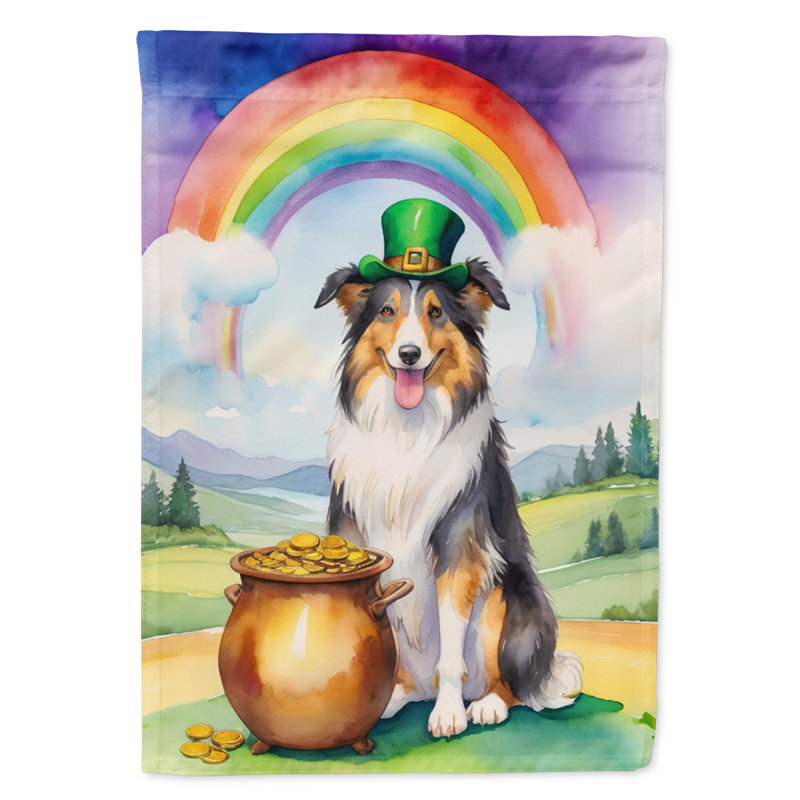 Drapeau double face en polyester H 40 po x l 28 po St Patrick's Day House
