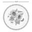 Assiette plate de jardin botanique 10,5 po Portmeirion