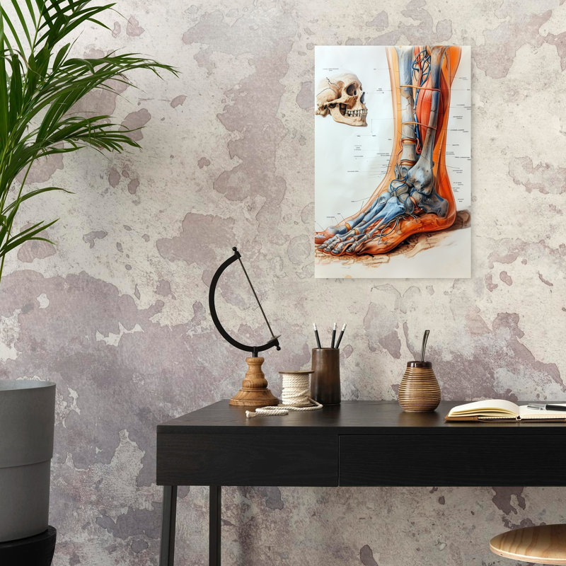 «Anatomical Leg and Skull», art mural rétro, H 24 po x l 16 po