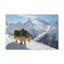 «Yak Hunting Yak on Hunt», reproduction d'art mural-1093920259