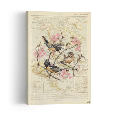 Vintage Map With Orioles Classic Vintage Bird Cherry Nature Flower Wall Art Print 1 Piece Wrapped Canvas Wall Art