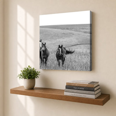 Montana Moves 2 by Nathan Larson - Graphic Art on Canvas