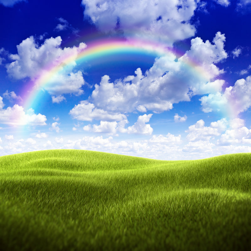 Green Field Over Moody Sky by Da-kuk - Wrapped Canvas Print, 122cm H x 122cm W