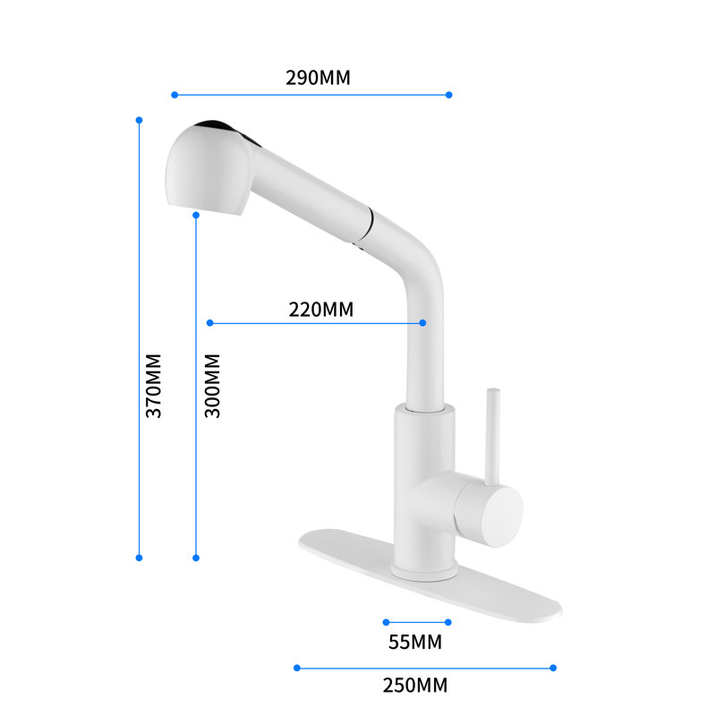 Fapully Pull Out Kitchen Faucet
