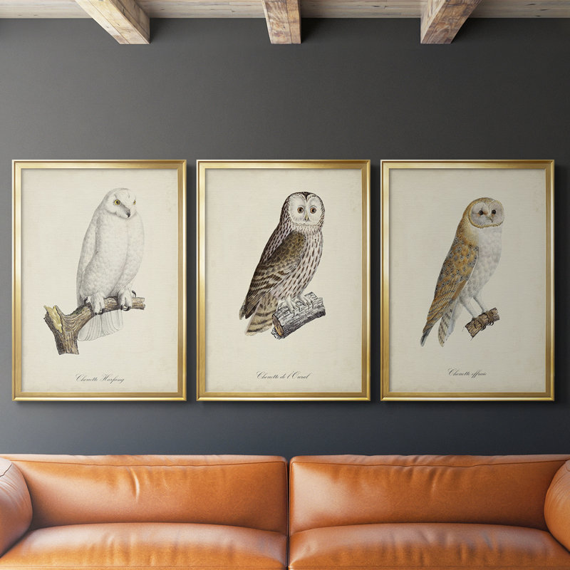 French Owls IV - Toile tendue avec châssis sur mesure - 3 pièces
