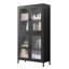 Armoire à 4 portes en verre pour le rangement des chaussures - noir avec portes et tablettes réglables