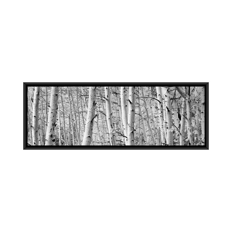 Trembles dans une forêt, art mural sur toile tendue, H 20 po x l 60 po x p 1,5 po, Toile avec cadre noir
