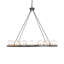 20 - Light Chandelier