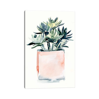 Potted Succulent IV by Jennifer Paxton Parker - Wrapped Canvas Print