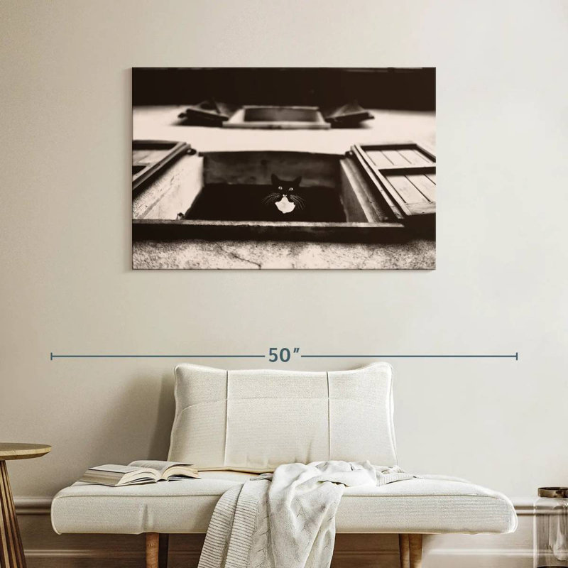 Crowle Dali The Cat Photography, 26" H x 39" W