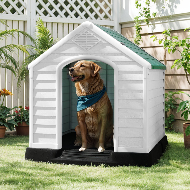 Niche pour chien en plastique Bruning, H 28 po x l 26 po x P 28,5 po, Vert/blanc