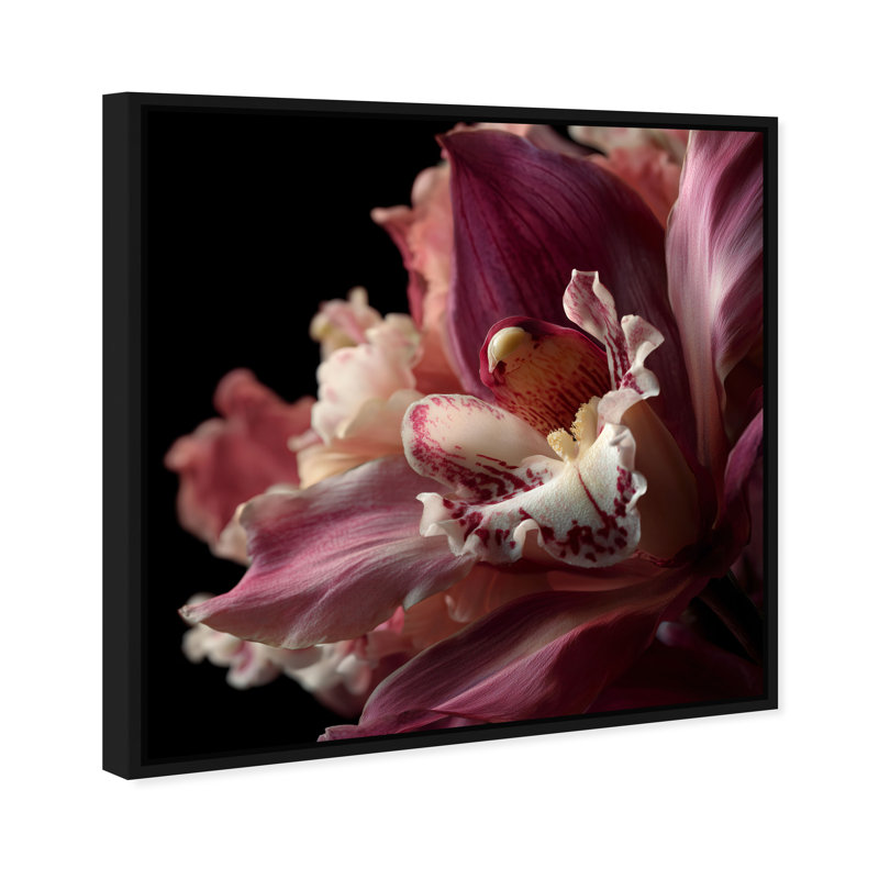 Velvet Labellum Print by Oliver Gal, 41"H x 41"W, Black Floater Frame