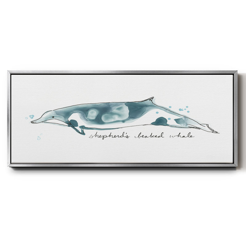 Baleine III, Argent, H 8 po x l 20 po x P 1,5 po