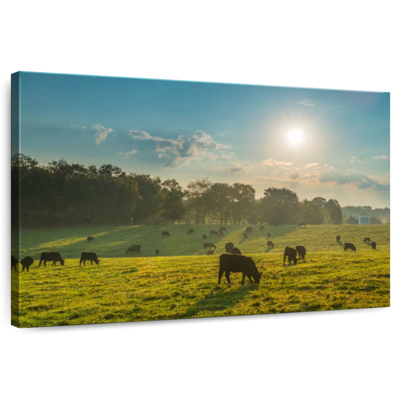 Crowle Cattle Graze, 20" H x 30" W