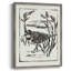 Linocut Style Seabird IV, reproduction encadrée - bois massif-645680441