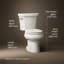 Wellworth® 1.28 GPF (Water Efficient) Round Two-Piece Toilet  (Seat Not Included)-10980022-101431097
