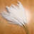 Silk Pampas Grass Arrangement-245549530-213036443