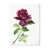 White Picture Framed Canvas is unavailable