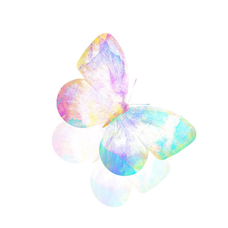 Watercolour Butterfly - Wrapped Canvas Painting, 30cm H x 30cm W x 3.8cm D