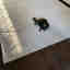 Customer photo 2 of 4