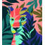 MINT LIONESS