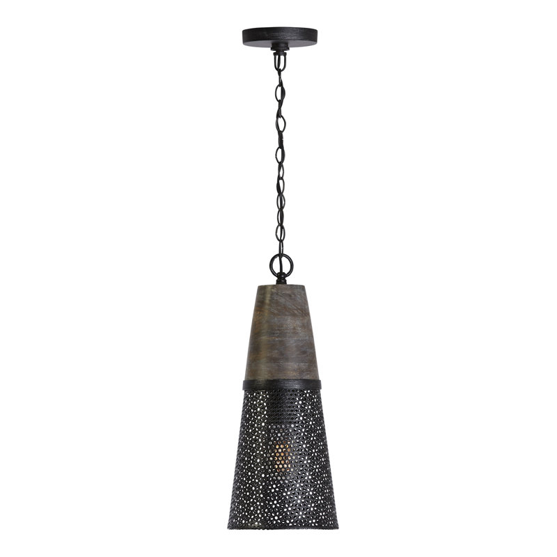 Luminaire suspendu conique à 1 lumière avec accents métalliques Gilford, Grange
