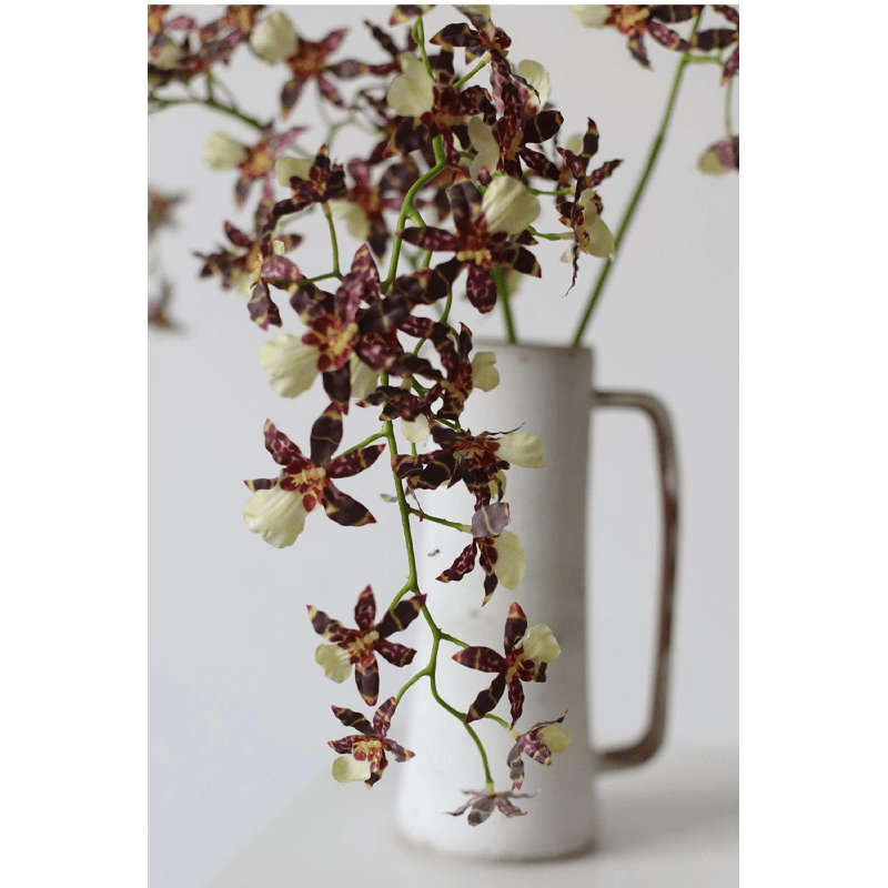 Tige d'orchidée dansante, Golden Blush, [D] 12 Stems
