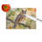 Long-Eared Owl Glass Cutting Board