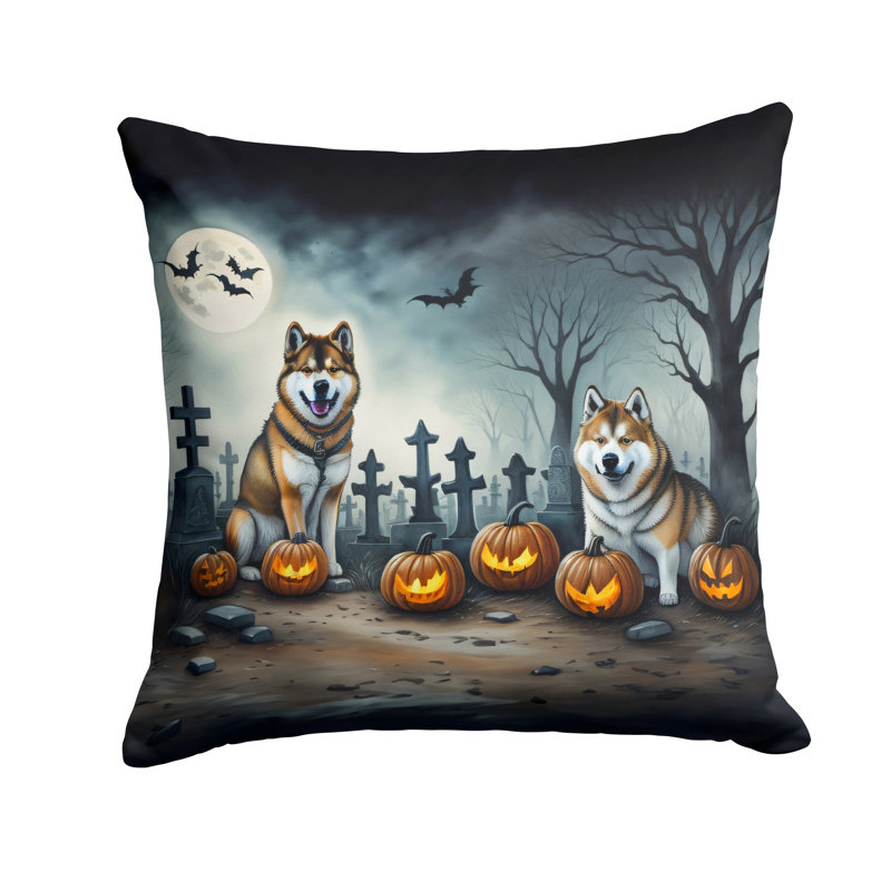  Housse et insert de coussin décoratif en polyester, 14 po x 14 po