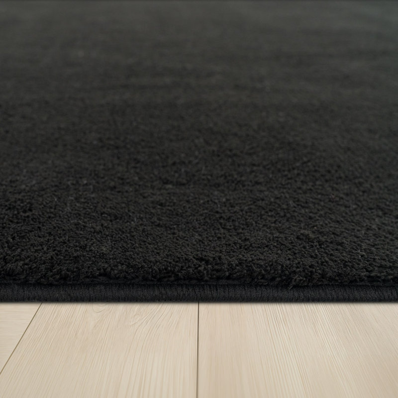 Soft Area Rug Cozy Low-Pile Rug Anti-Slip Solid Color Washable, Rectangle 2'8" x 4'11", Black