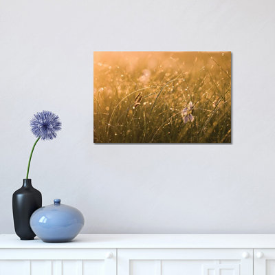 Morning Dew II 1 Piece Wrapped Canvas Wall Art