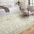 Oriental Area Rug in Ivory/Silver-672109243