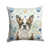 Bringé Boston Terrier sélectionné