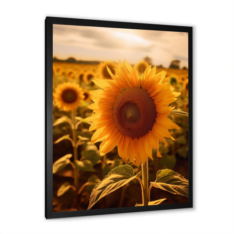 Tournesol doré au coucher du soleil II sur toile, H 20 po x l 12 po x P 1 po, Cadre photo noir