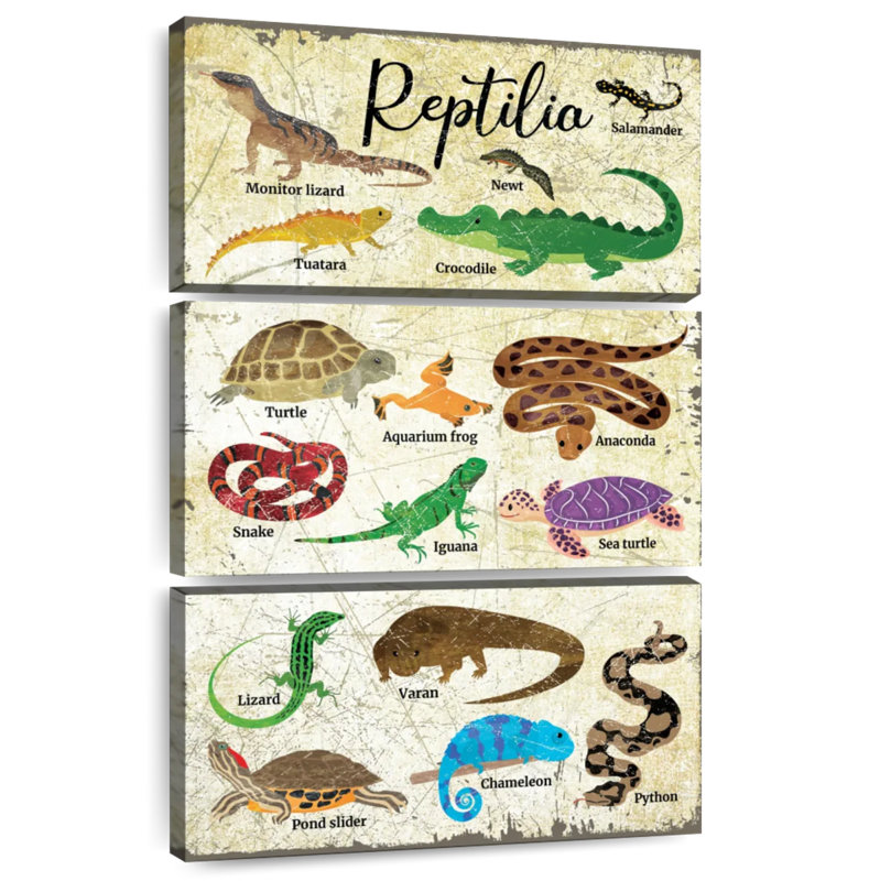 Tableau des espèces de reptiles Brampt, H 50 po x l 32 po