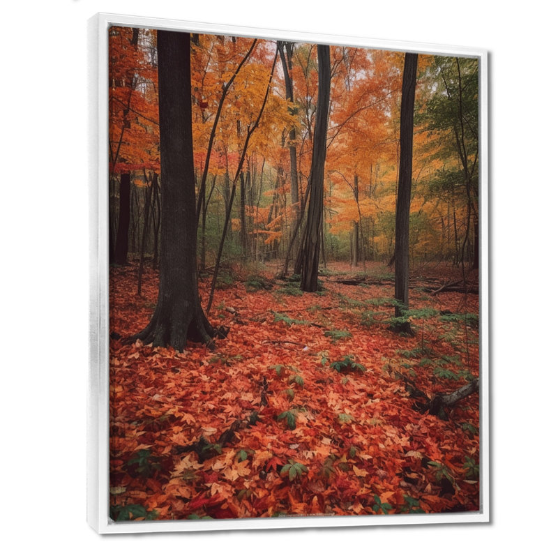 Feuilles d'automne dans la forêt d'érable - décoration murale arbre séquoia, Cadre flottant noir, bois massif