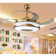 Roslindale 42'' Bluetooth Ceiling Fan with Dimmable LED Lights and Music Player