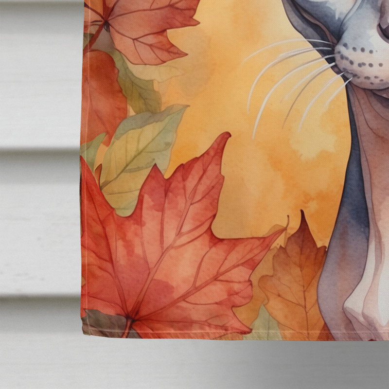 Chat en feuilles d'automne, Sphynx