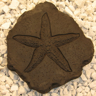 Tremplin étoile de mer