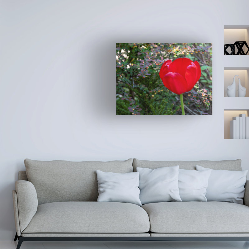 Art sur toile «bolus rouge Suzanne Bonin», H 35 po x l 47 po