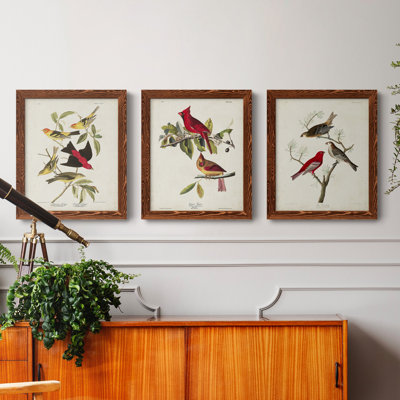 Pl 354 Louisiana Tanager - Ensemble de 3 peintures sur toile encadrées
