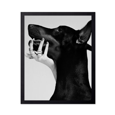 Dobermann noir