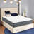 Cheneyville 12'' Firm Mattress-49180188-118782866