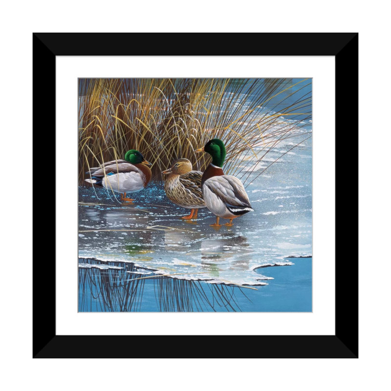 «Three Ducks on Ice», impression sur toile, Papier d'art encadré noir, Blanc, H 16 po x l 16 po x P 1 po