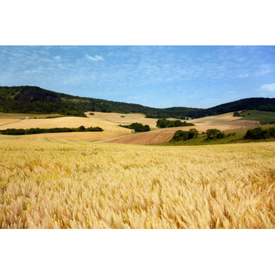 Paysage d'été - Photographie sur toile tendue