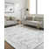 Caelob Wool Oriental Indoor Rug