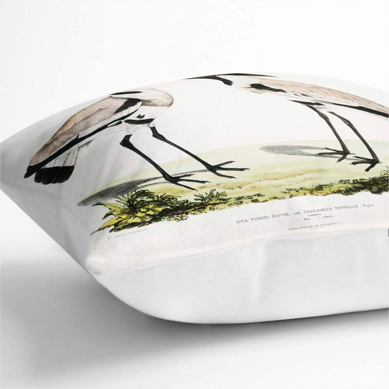 Illustration of Spur Winged Plover Birds by John Edward Gray Cushion with Filling, White, 55cm H x 55cm W x 20cm D