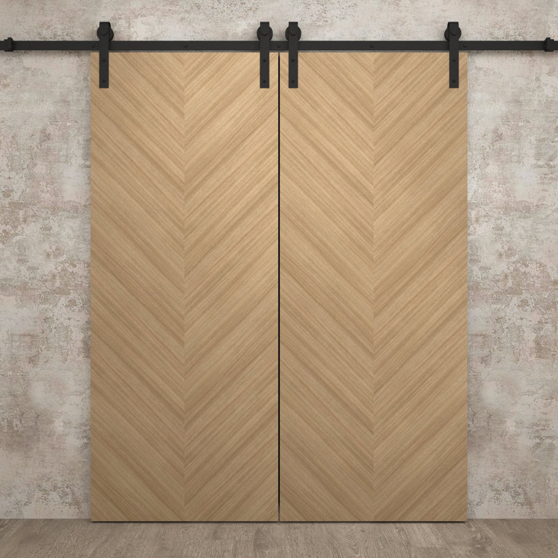 Porte de grange double moderne 64 po x 96 po | Chêne naturel Ego 5005 | Ensemble de rail 13 pi | Portes intérieures solides