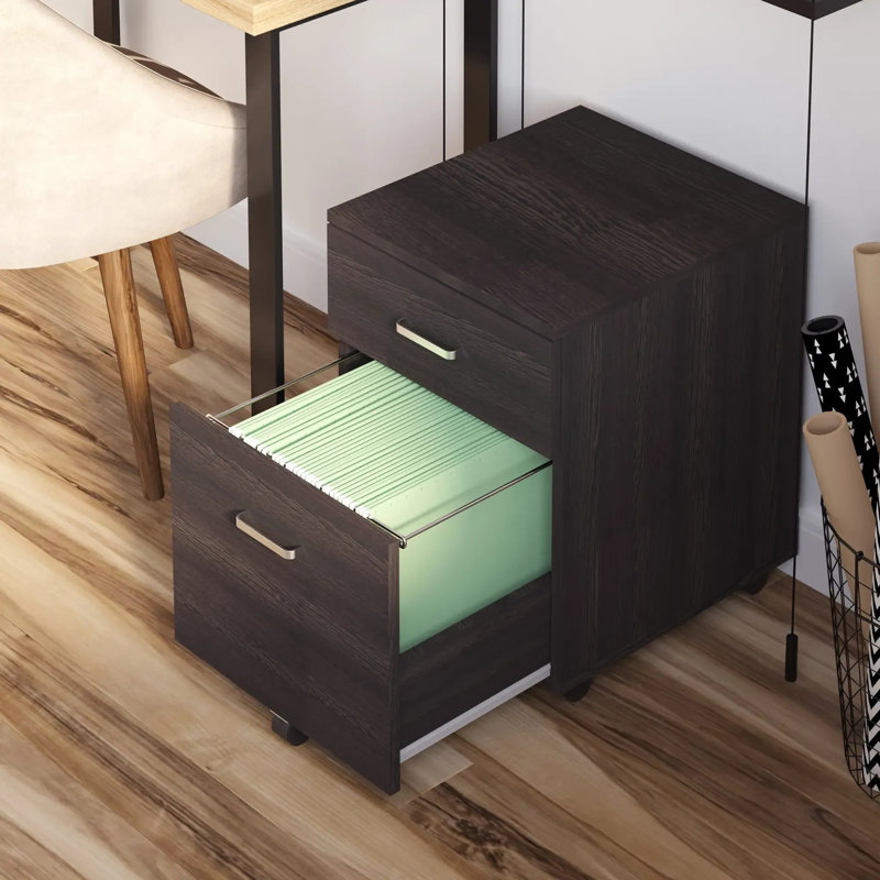 40cm Wide 2 -Drawer File Cabinet, Black