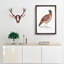 Chinese Horned Pheasant Illustration by John Edward Gray - Picture Frame Painting Print-55546053-55546054